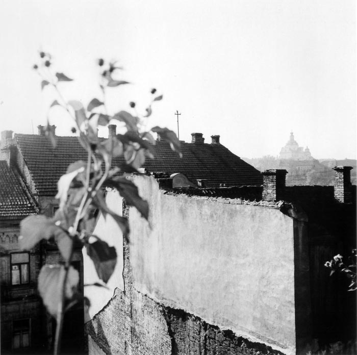 Крыши Ужуписа. 1967 г.