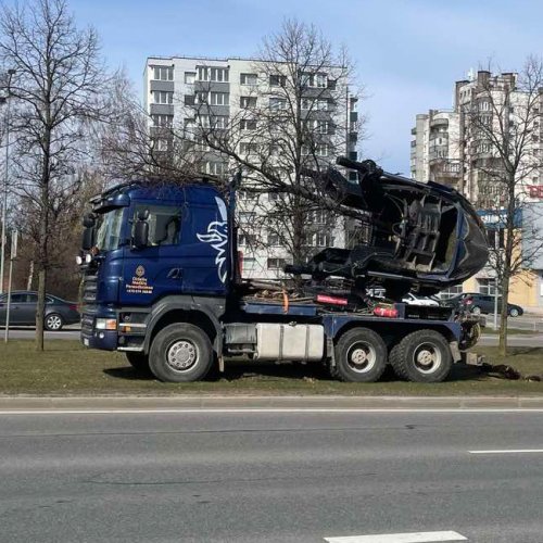 Так пересаживают деревья