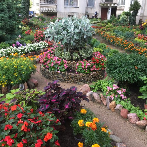 Двор-клумба на ул. Тайкос