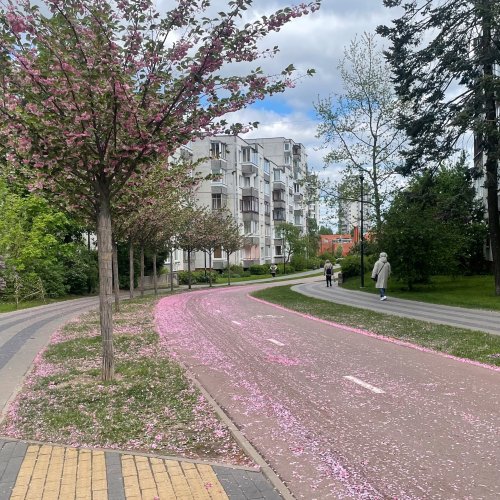 Бульвар в Шешкине