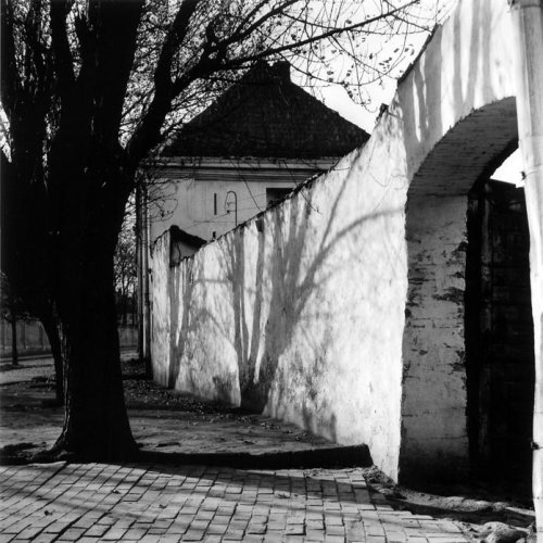 Домик в джунглях