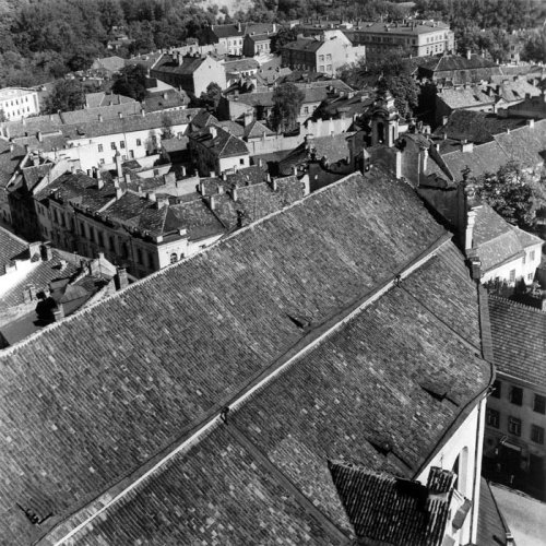 Зеленый мост