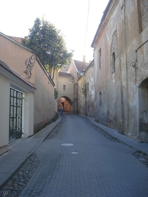 современный вид