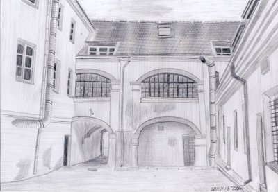 ○ Сержгол. Ул. Диджеи, 19. Во дворе